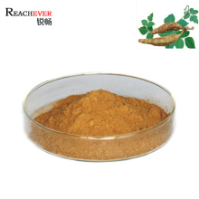 High-Quality Pueraria Mirifica Extract Powder Puerariae Lobatae Extract 40% 80% Isoflavone Puerarin